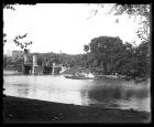 Swan Boats